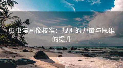 虫虫漫画像校准：规则的力量与思维的提升