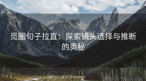 觅圈句子拉直：探索镜头选择与推断的奥秘