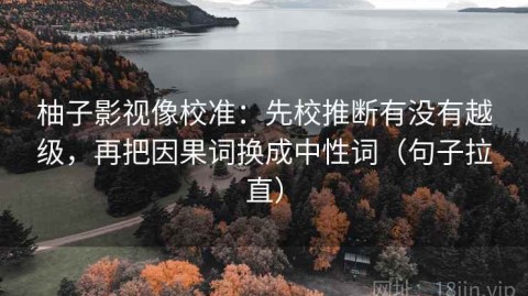 柚子影视像校准：先校推断有没有越级，再把因果词换成中性词（句子拉直）