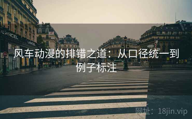 风车动漫的排错之道:从口径统一到例子标注 风车动漫的排错之道:从口径统一到例子标注
