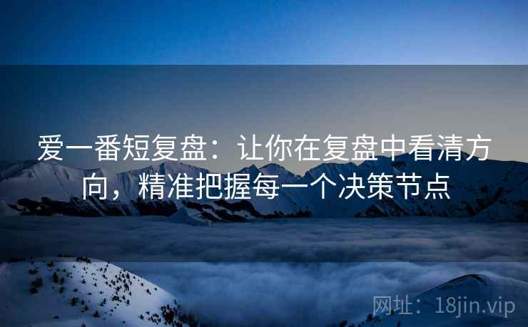 爱一番短复盘：让你在复盘中看清方向，精准把握每一个决策节点