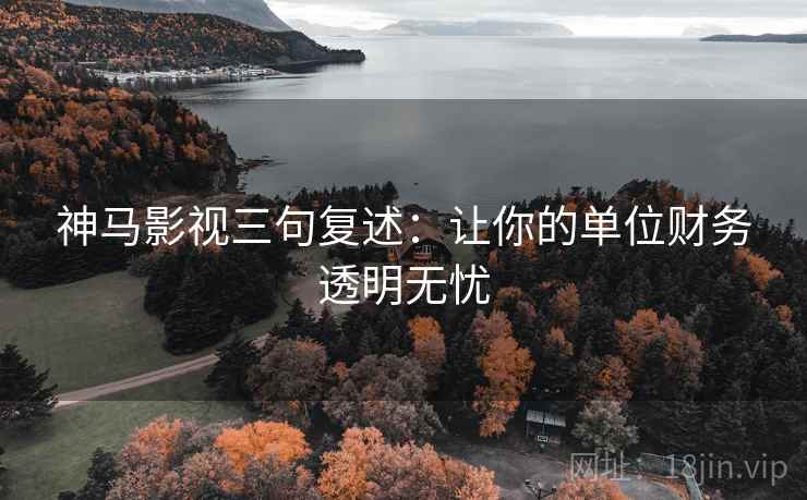 神马影视三句复述:让你的单位财务透明无忧 神马影视三句复述:让你的单位财务透明无忧