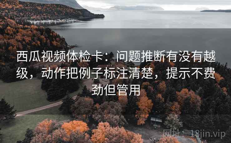 西瓜视频体检卡：问题推断有没有越级，动作把例子标注清楚，提示不费劲但管用